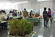 植物共生学研究室02