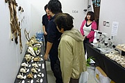 野生動物学研究室01