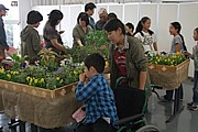 園芸療法学研究室02