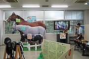 動物介在療法学研究室02