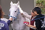 バイオセラピーセンター見学会01