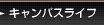 LpXCt