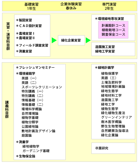 実習・演習を柱としたカリキュラム構成