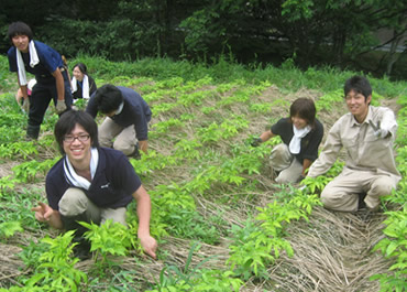 活動の様子