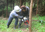 実習の様子