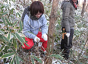 活動の様子