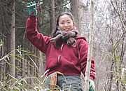 活動の様子