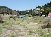 活動の様子