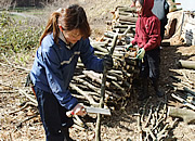 活動の様子