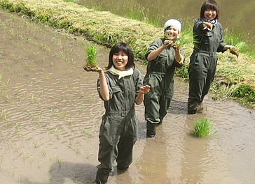 活動の様子