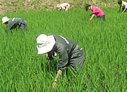 活動の様子