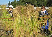 活動の様子