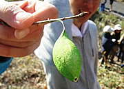 活動の様子