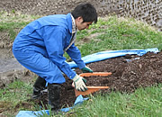 活動の様子