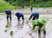 活動の様子