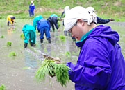 活動の様子