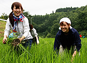 活動の様子