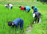 活動の様子