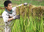 活動の様子