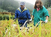 活動の様子