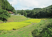 活動の様子