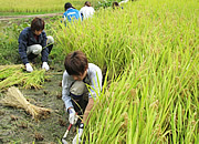 活動の様子