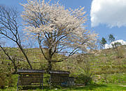 活動の様子