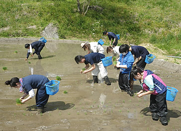 活動の様子