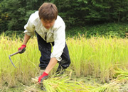 活動の様子