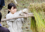 活動の様子