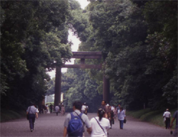 「人のつくった森」