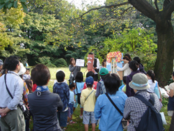 すみれば自然庭園学習イベント