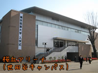 ���u�A���[�i(���c�J�L�����p�X)