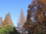 �C���[�W
