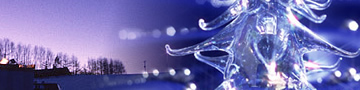 12���C���[�W