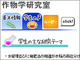 �C���[�W