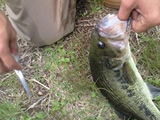 �C���[�W�t�H�g