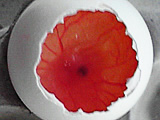 �C���[�W�t�H�g
