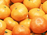 �C���[�W�t�H�g