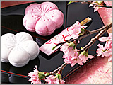 �C���[�W