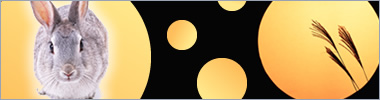 �C���[�W