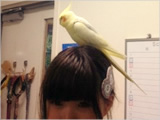 �C���[�W