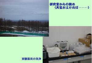 環境