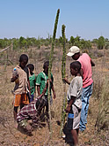 マダガスカルでの環境教育の一環で、子供たちの手で進められる森林保全