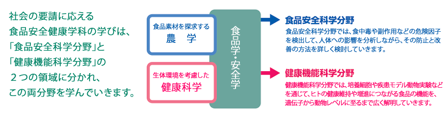 社会の要請に応える食品安全健康学科の学びは、「食品安全健康分野」と「健康機能科学分野」の２つの領域に分かれ、この両分野