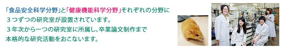 社会の要請に応える食品安全健康学科の学びは、「食品安全健康分野」と「健康機能科学分野」の２つの領域に分かれ、この両分野