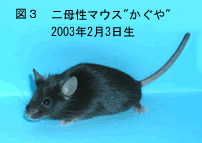 <}3>ꐫ}EX""2003N23