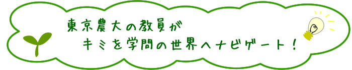 _̋L~w̐EփirQ[gI 